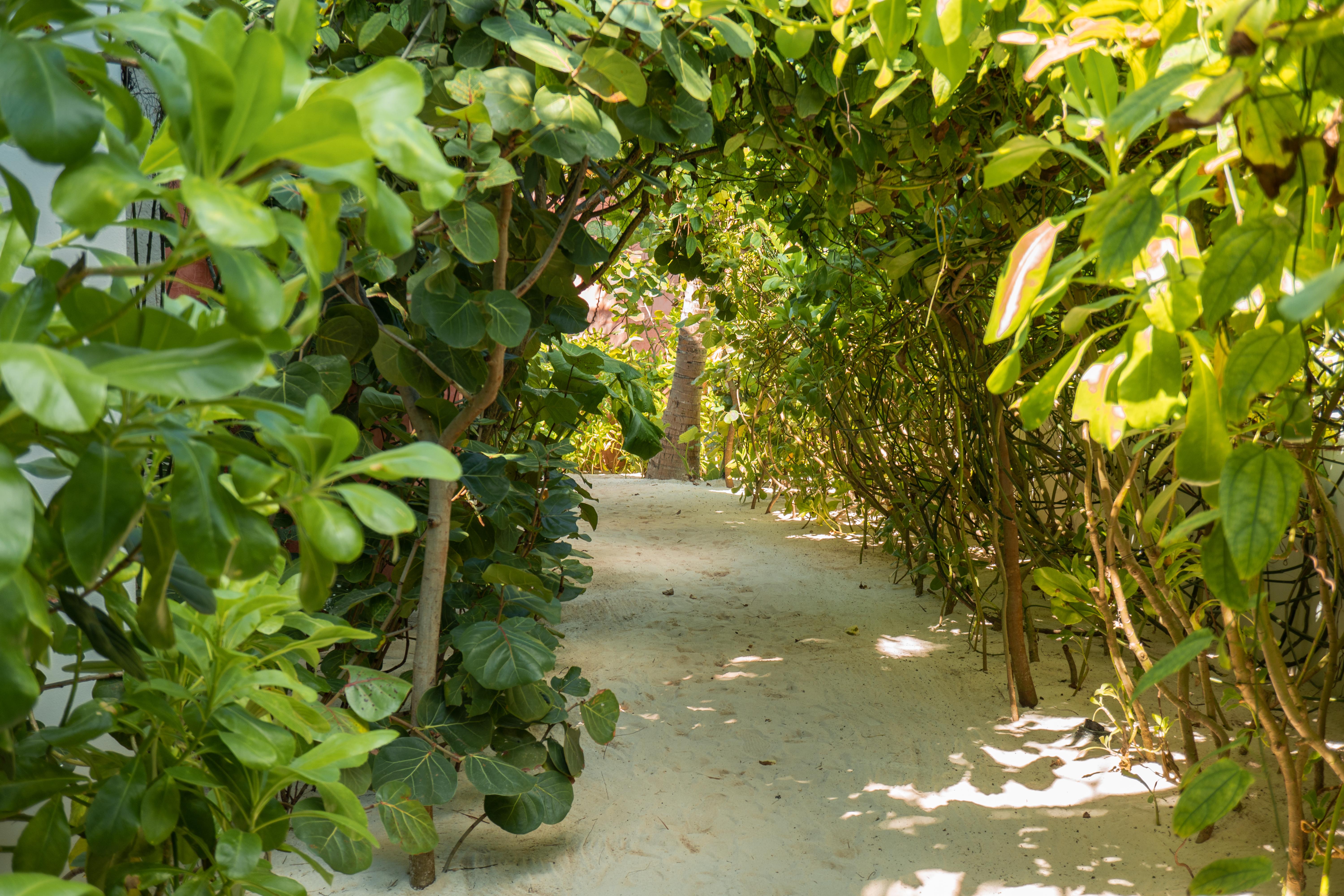 Tago Tulum By G Hotels Exterior foto